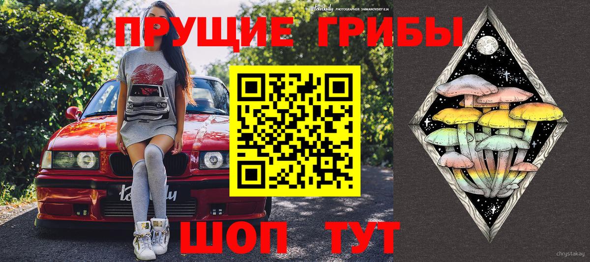 Прохладный  Галлюциногенные грибы ЛСД  Вход с VPN 